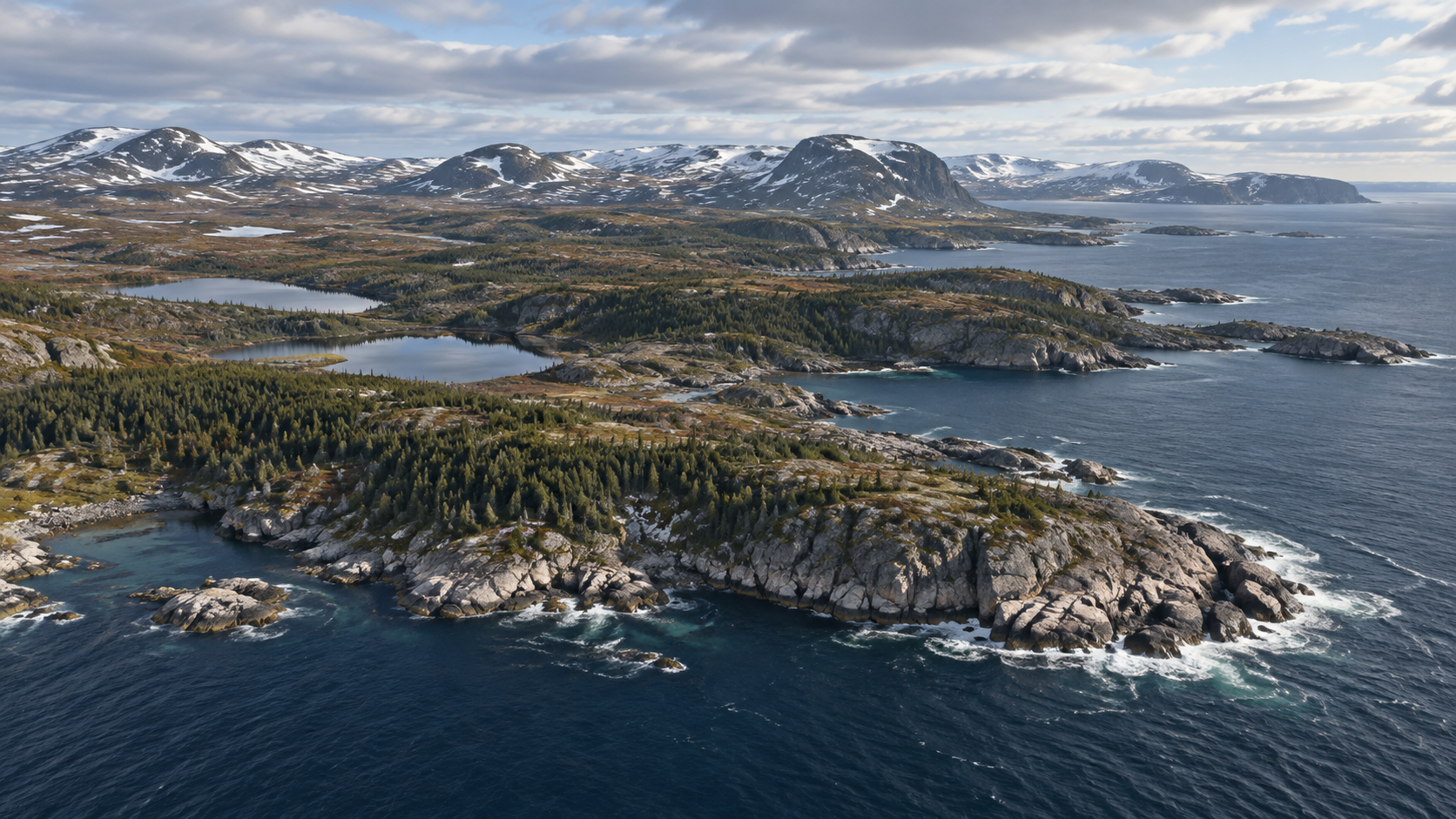 Northern habitats and coastal landscape